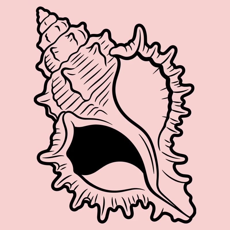 shell