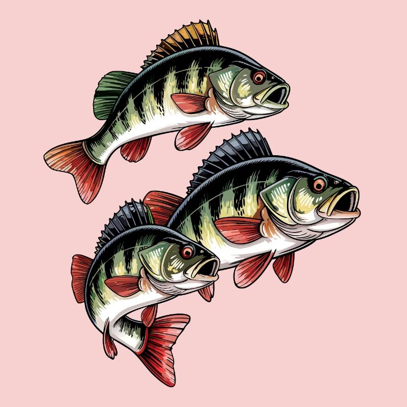 Pêche à la perche