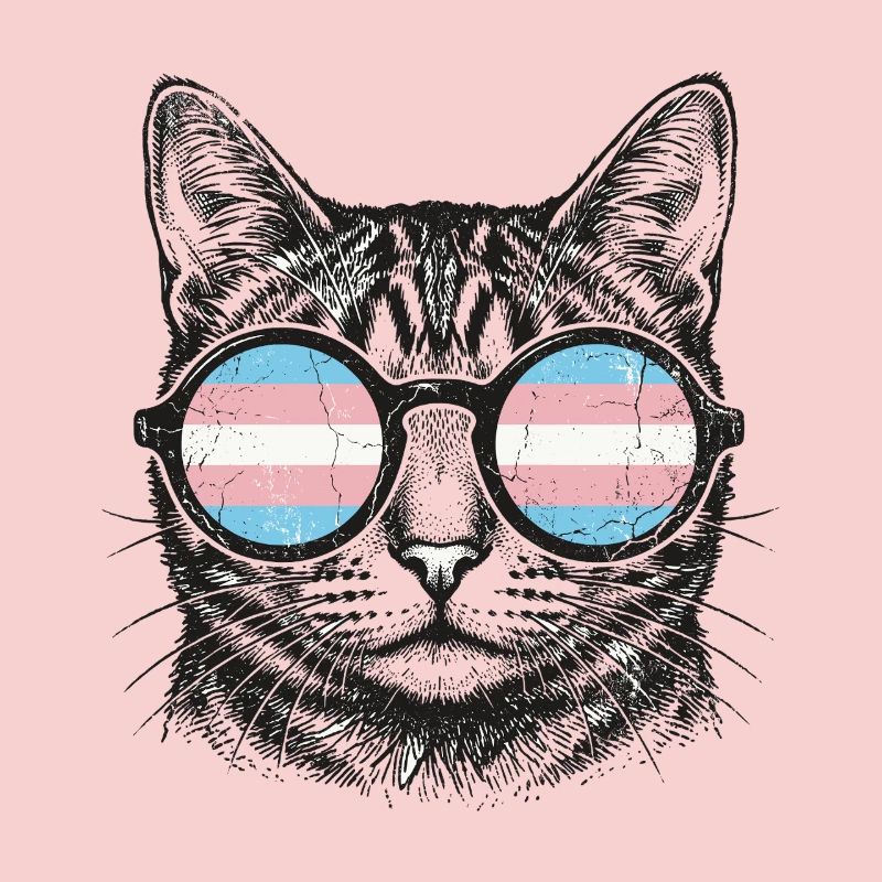 LGBT-Pride-Monat – Trans-Pride-Katze