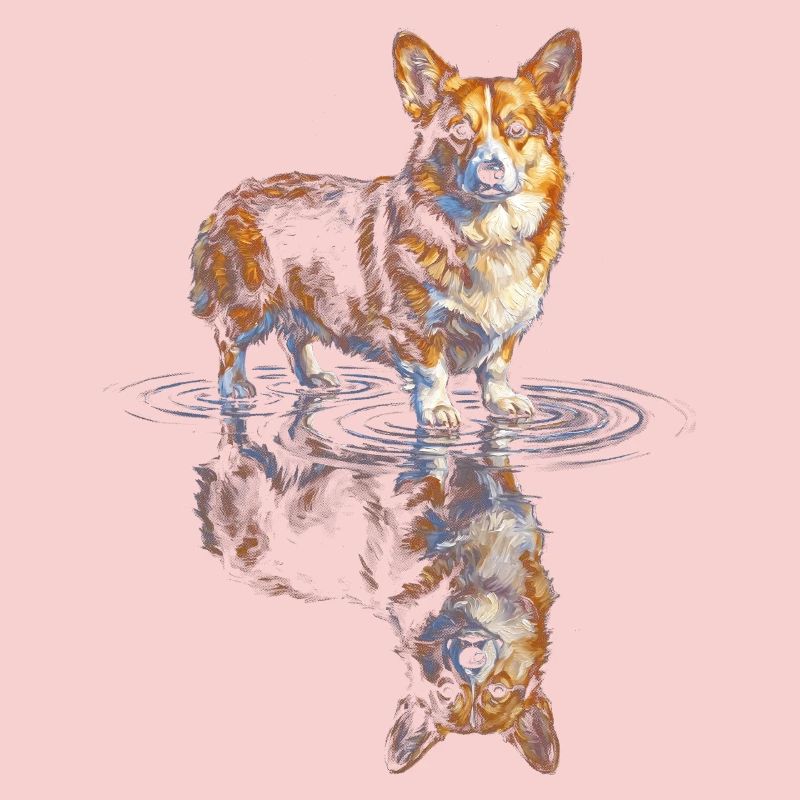 Wasserreflex Corgi 