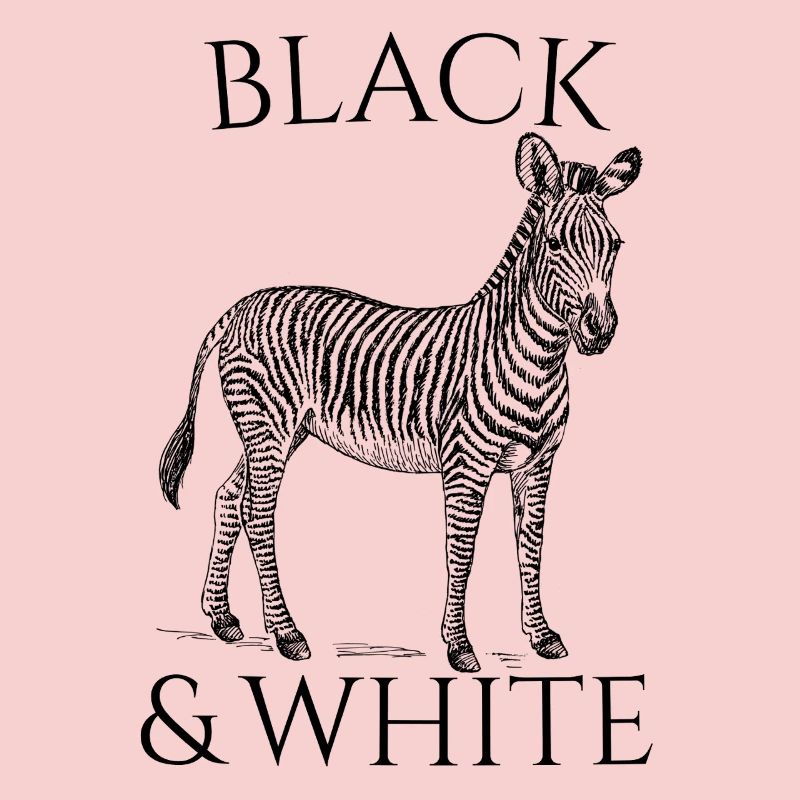 Black & White Vector Zebra – Tierdesign