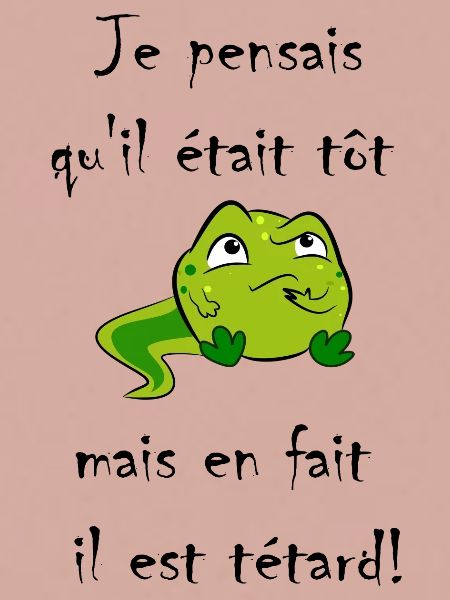 Kaulquappe
