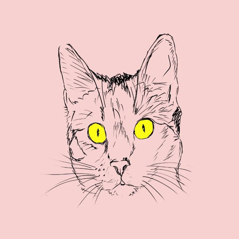 Chat, gueule de bois, amant de chat, tête de chat, oeil de chat