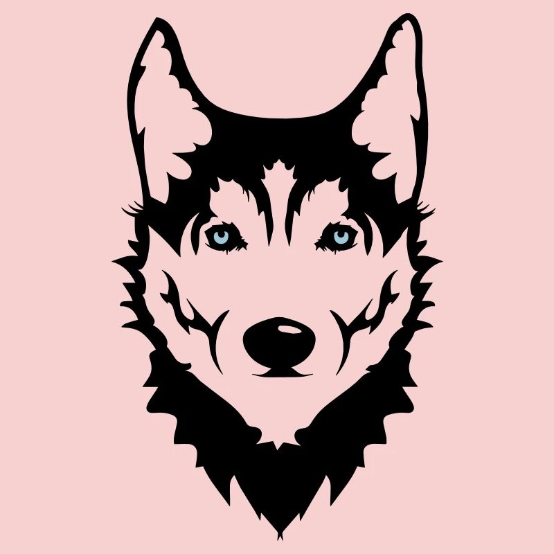 Ein Kopf eines Husky Hundes