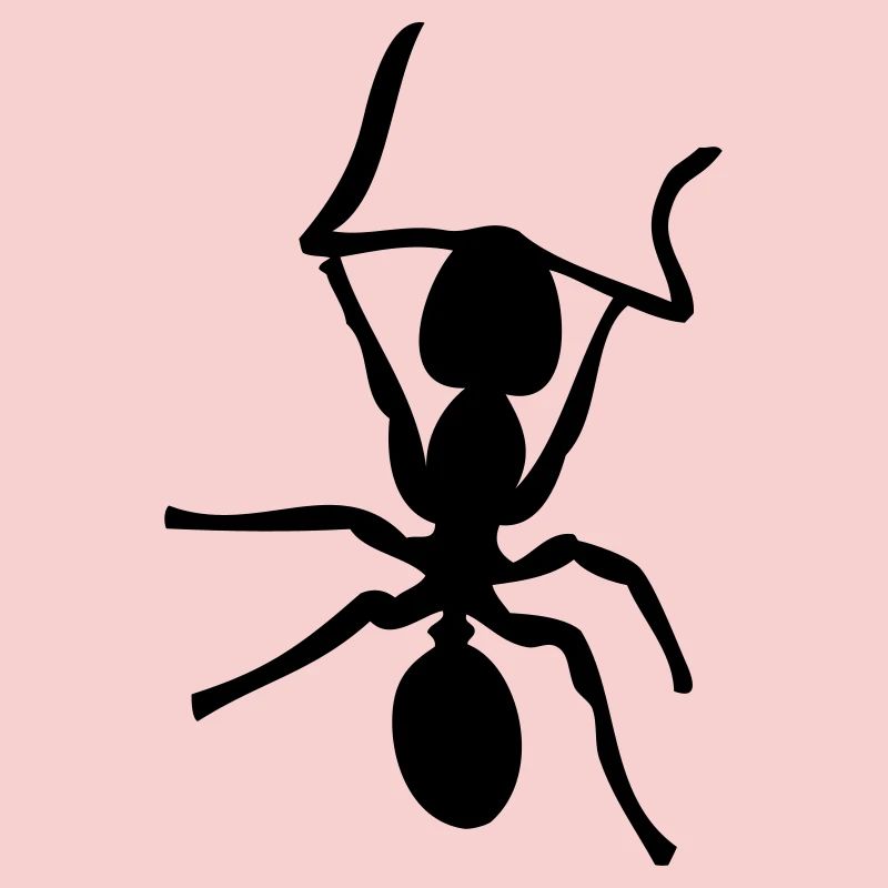 Fourmis - Insectes - Fourmis