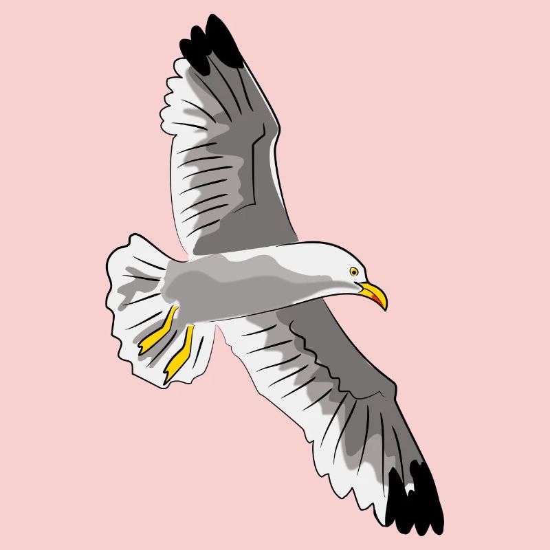 gull