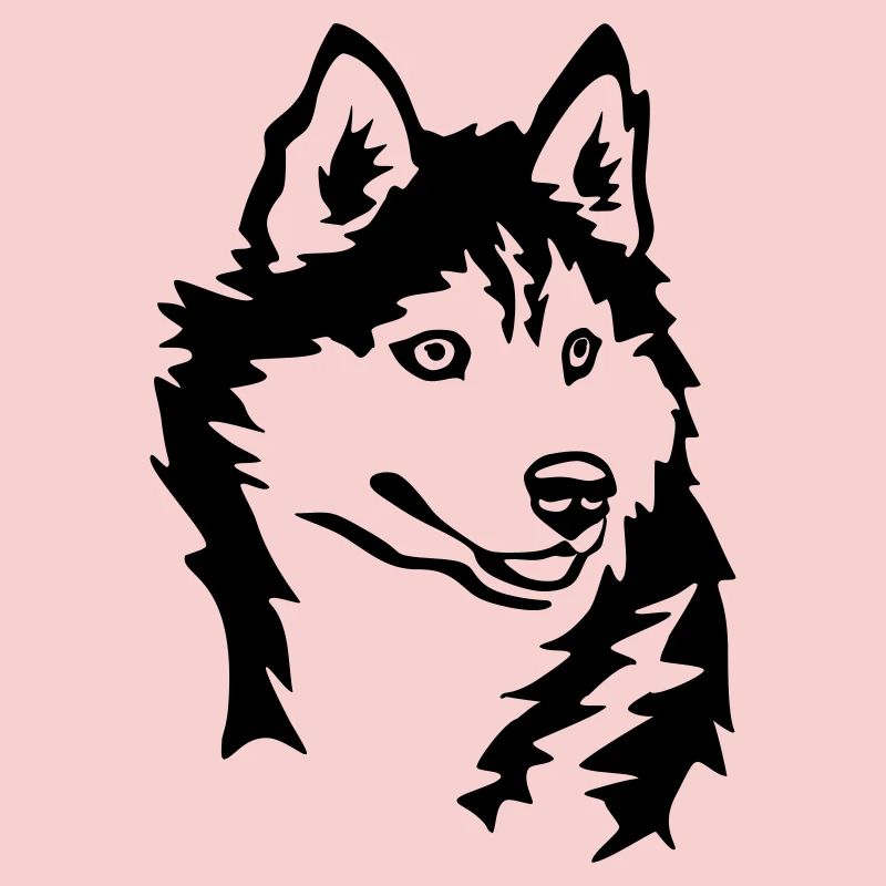 Tête de Husky