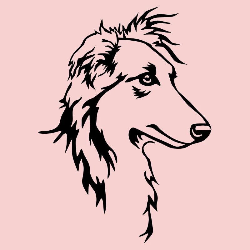 Long hair whippet head
