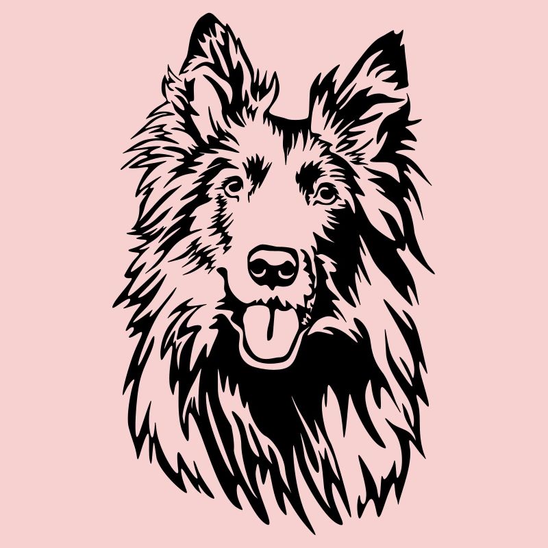 Groenendael head