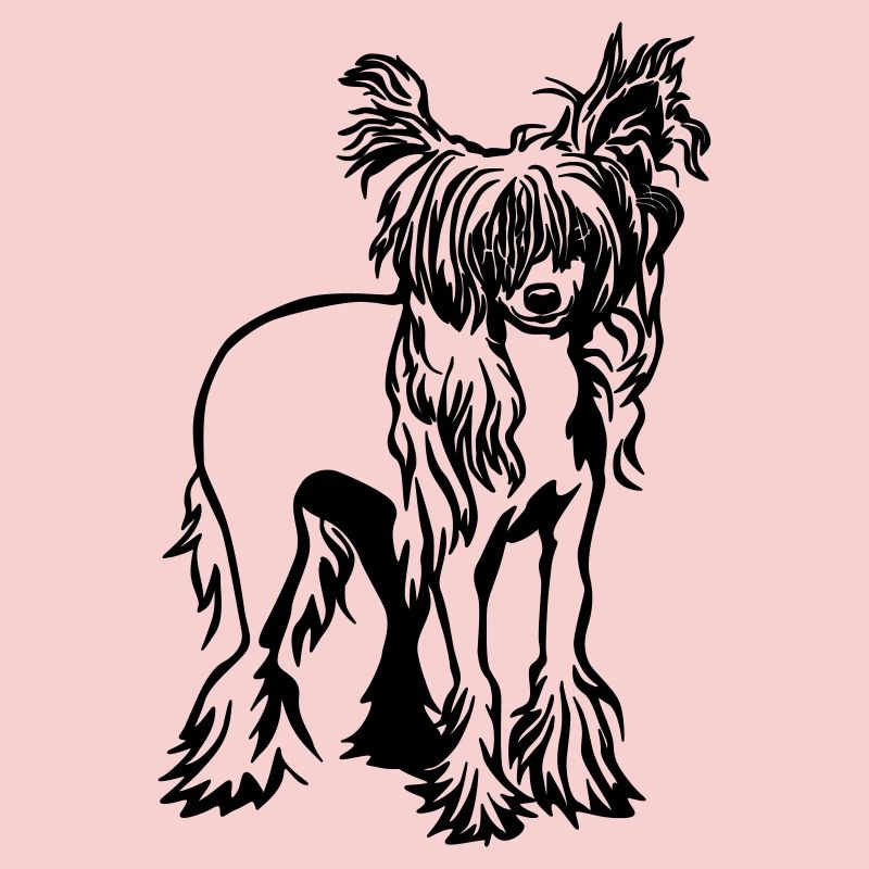 Chinese Crested Dog