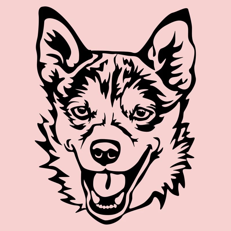 Norwegischer Lundehund