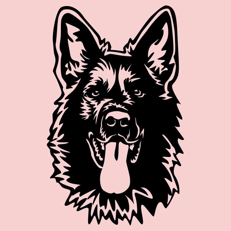 Deutscher Schäferhund Kopf