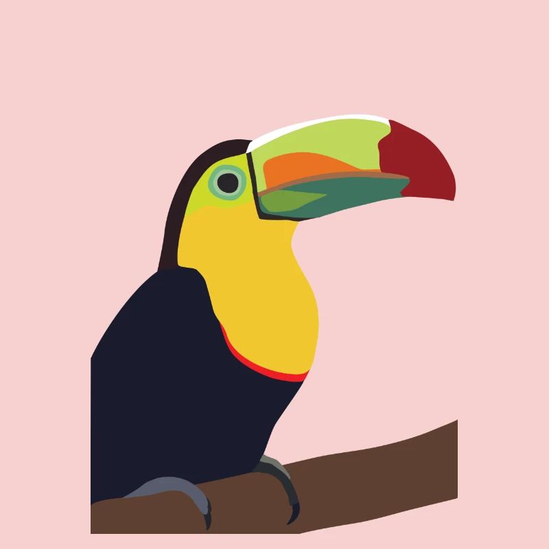 Timmy, le Toucan