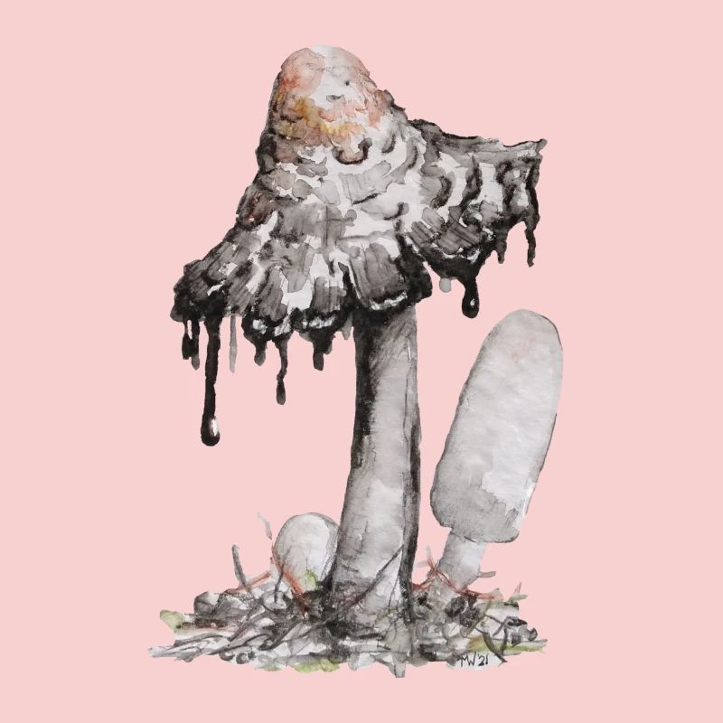 champignon de l’encre