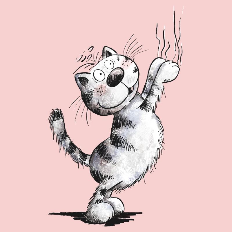 Funny cat scratches