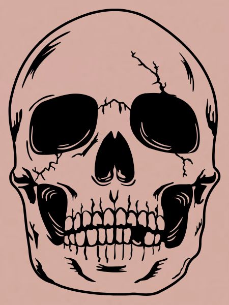 Skull head of skeleton