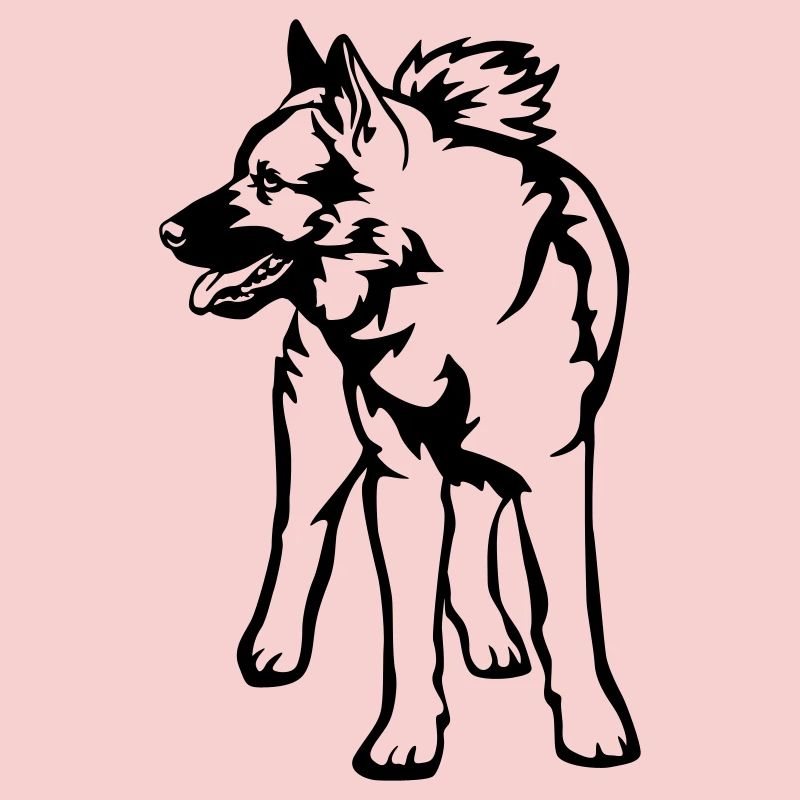 Norwegischer Elchhund