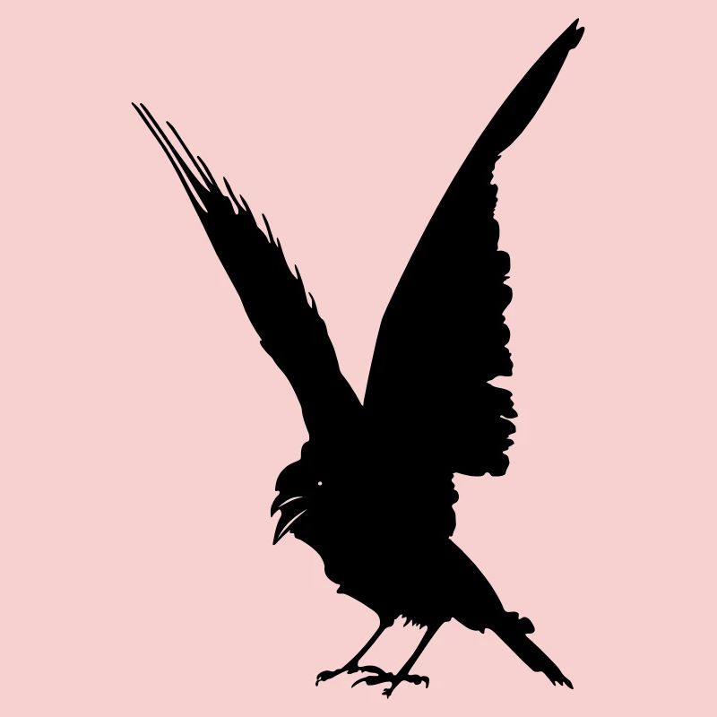 Black bird crow or raven shadow figure