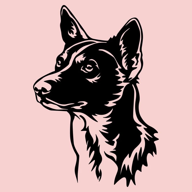Basenji Kopf