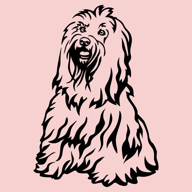 Tibetan Terrier