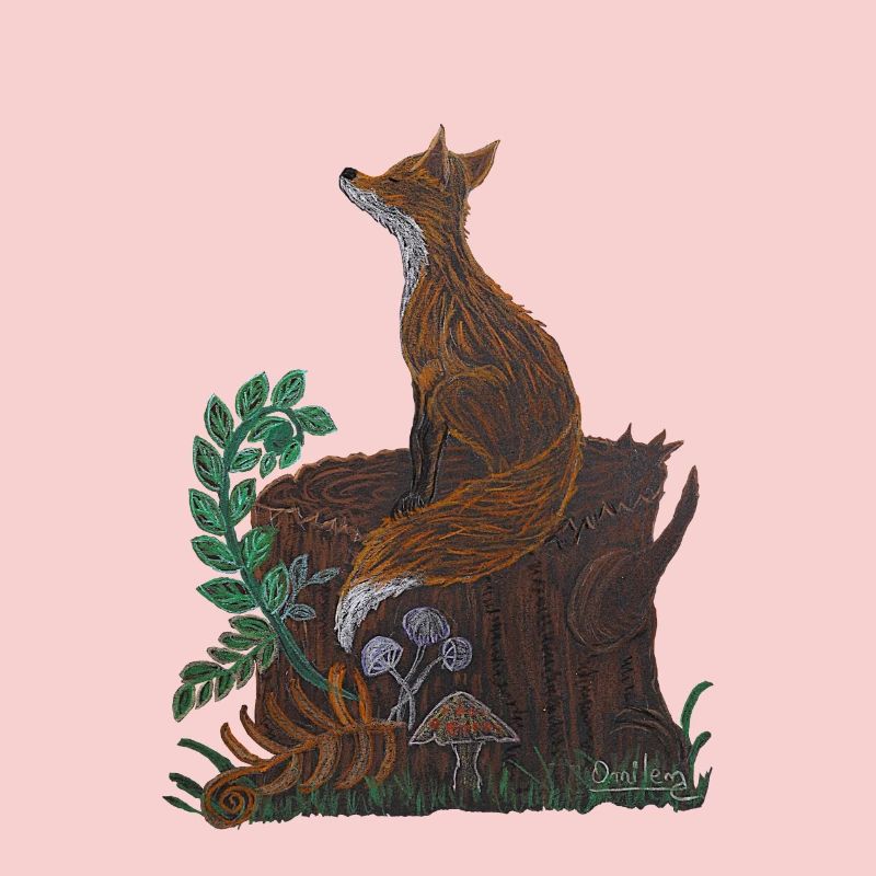 meditative fox