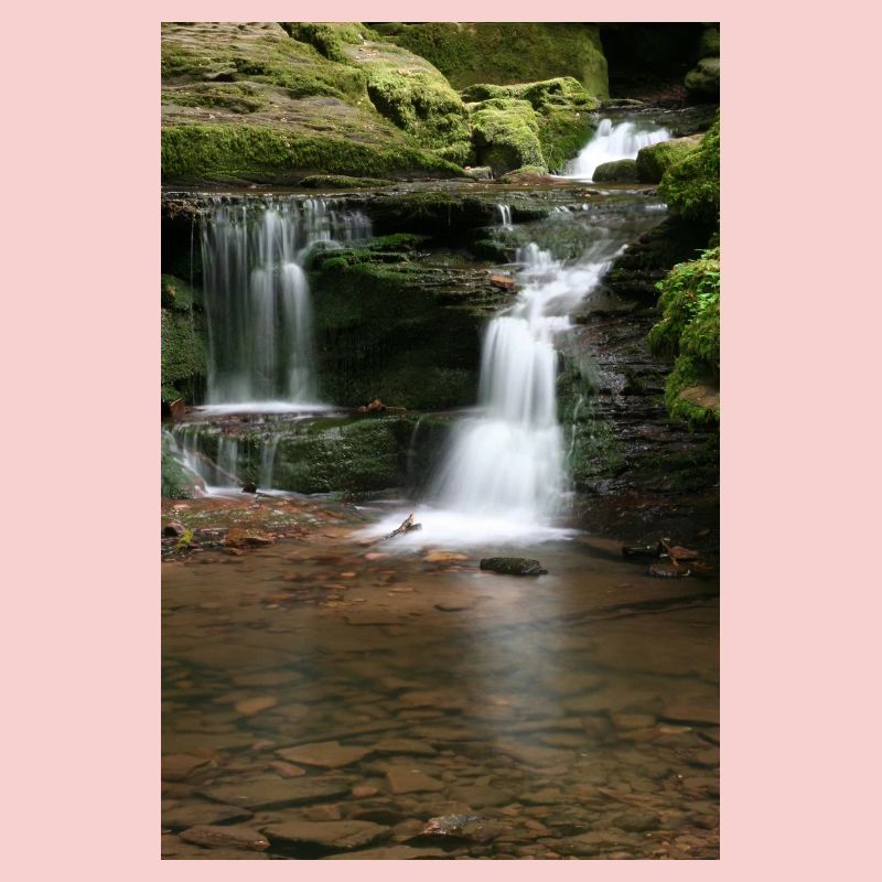 Forêt-Noire Monbach
