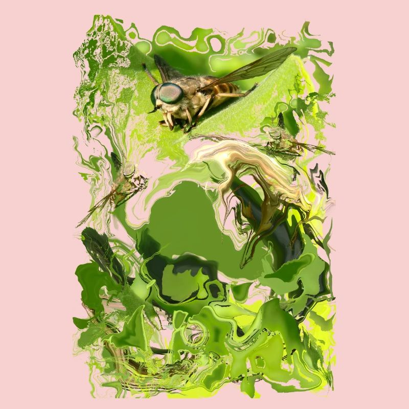 Insecte
