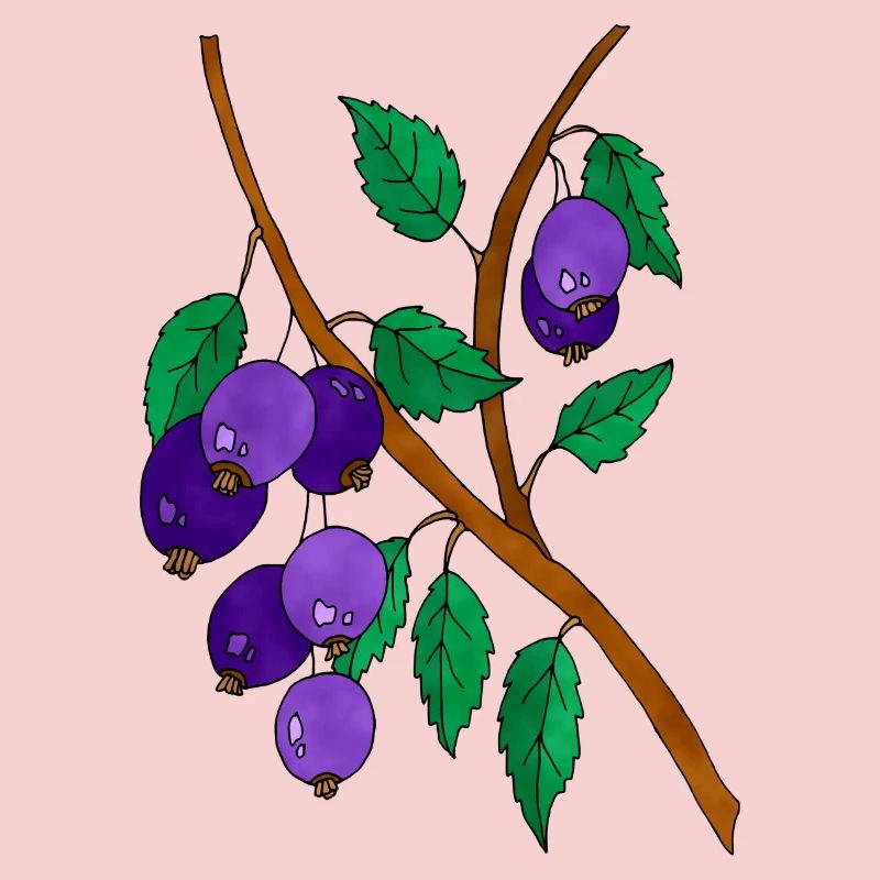 Plums