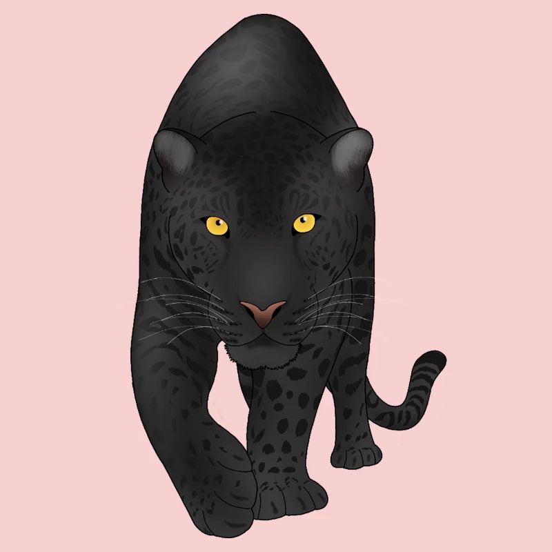 Midnight Panther, Big Cat 