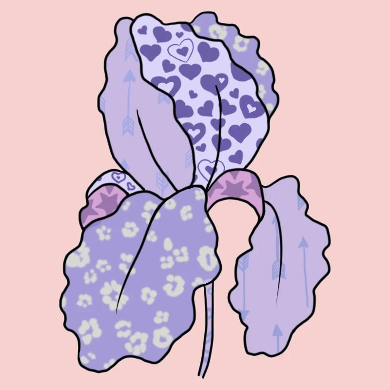 Bunte_Iris