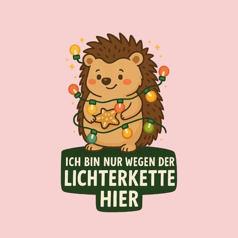 Igel mit Lichterkette