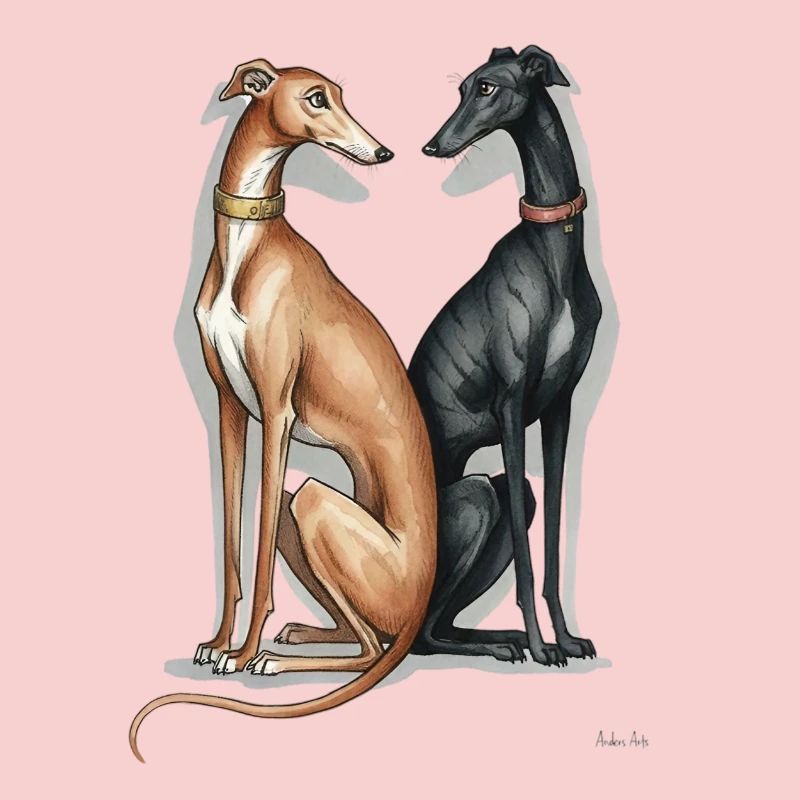 Two Galgos