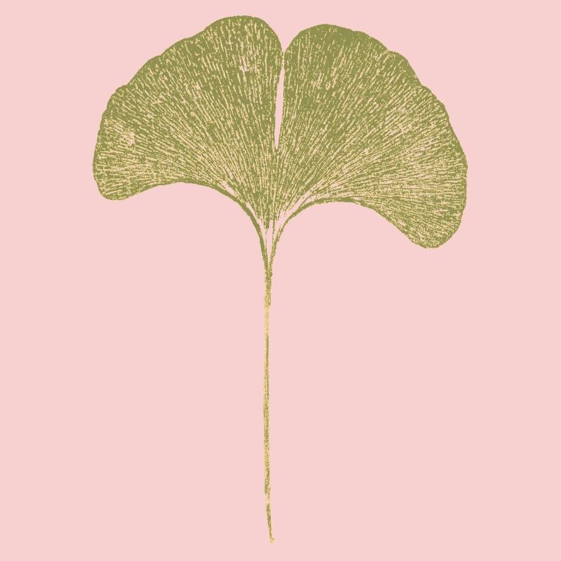 Gingko Leaf