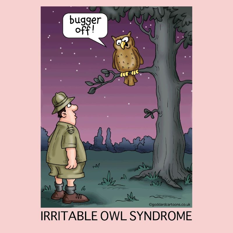 Syndrome de la chouette irritable