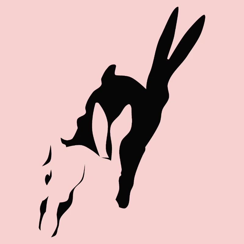 Bunny runs shadow bunny Easter bunny rabbit hop