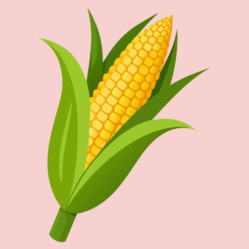 Corn stalk