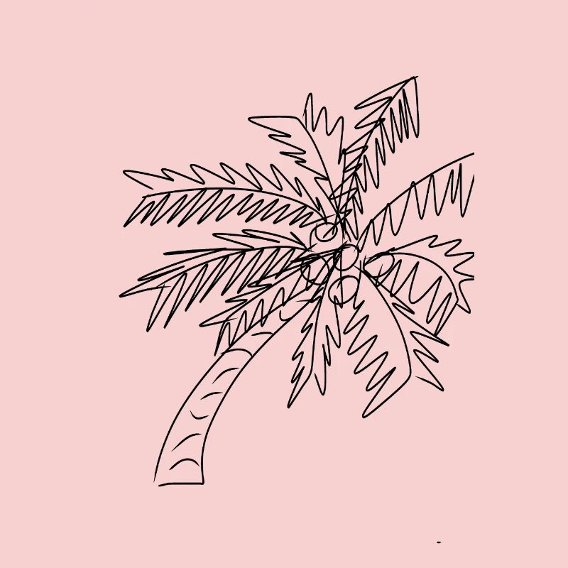 Coconut Palm