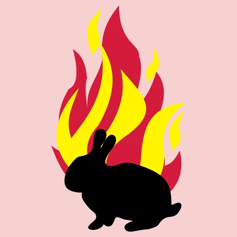 Lapin avec le feu