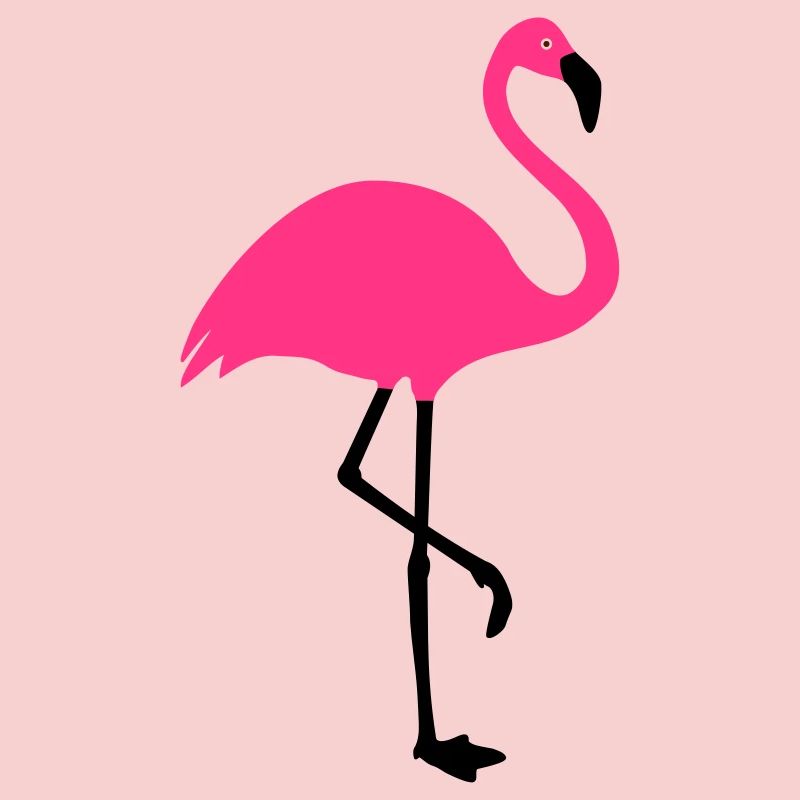 Flamingo Summer Sun Beach