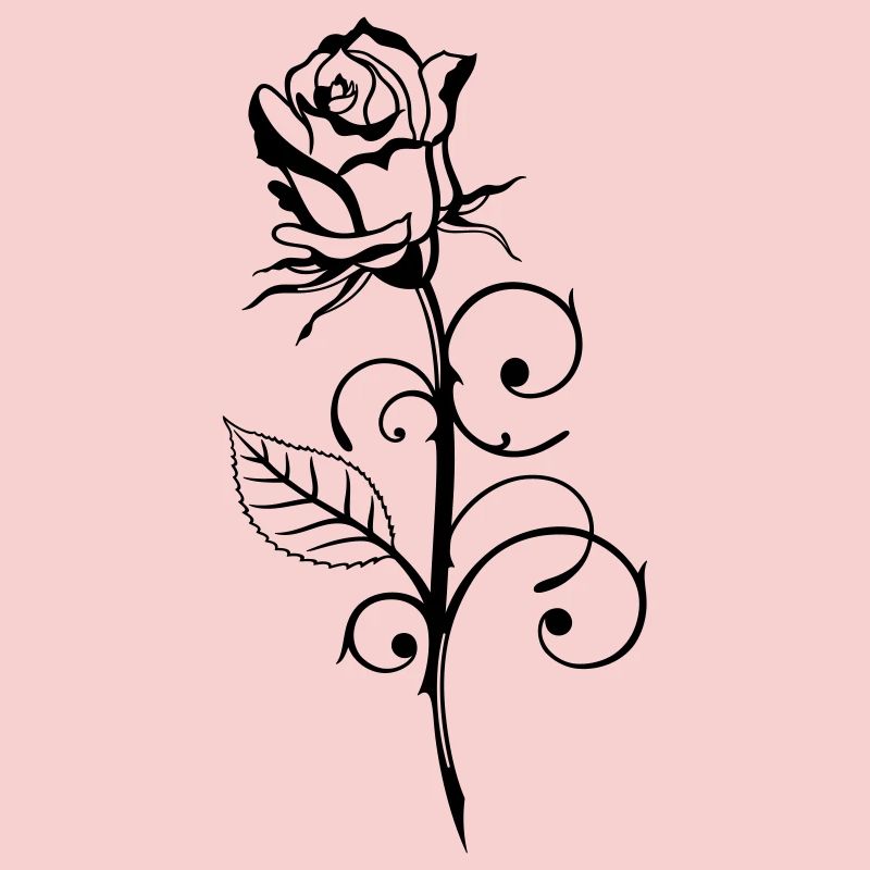 Beautiful rose with leaf