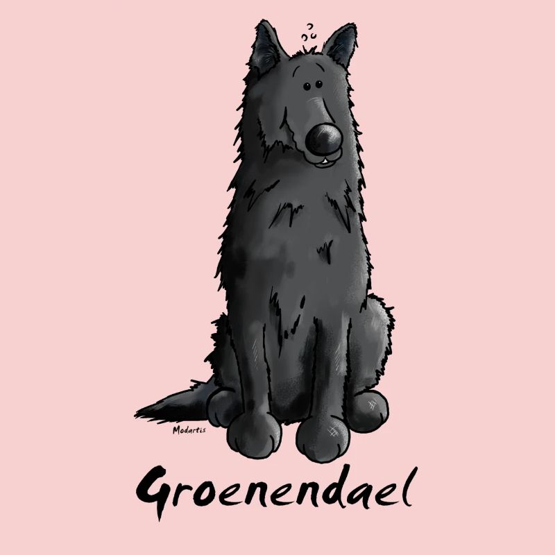 Cute Belgian Shepherd Dog