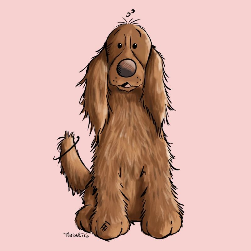 Cocker spaniel anglais