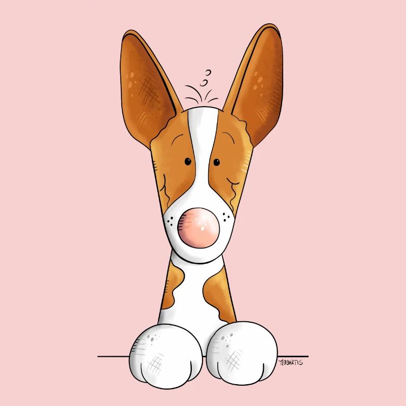Neugieriger Podenco