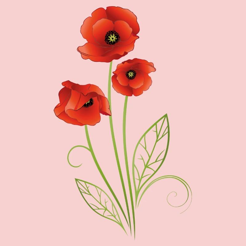 Rote Mohnblumen Mohn Sommer