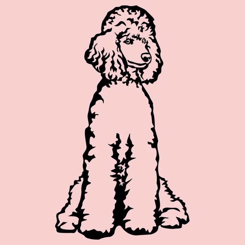 Caniche