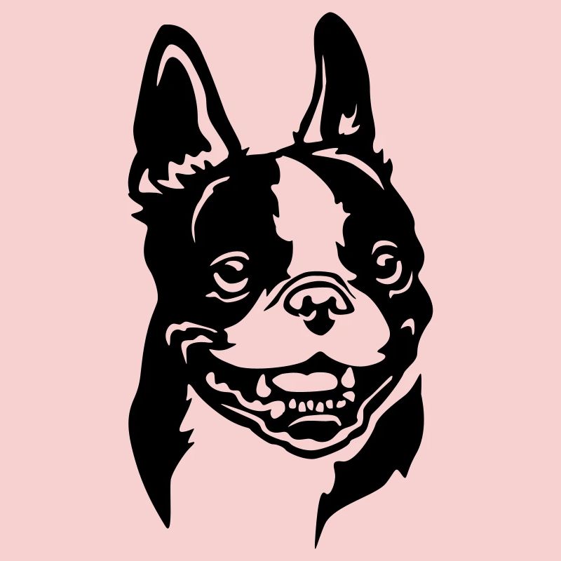 Tête de Boston Terrier