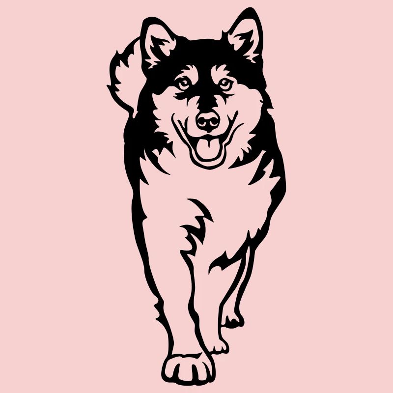 Alaskan Malamute
