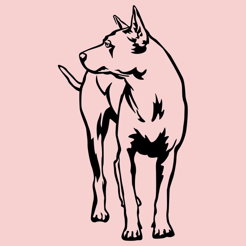 Thaï Ridgeback