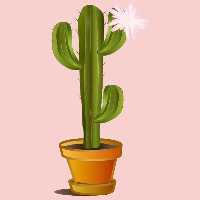 Cactus enchanteur dans un pot de fleurs avec fleur