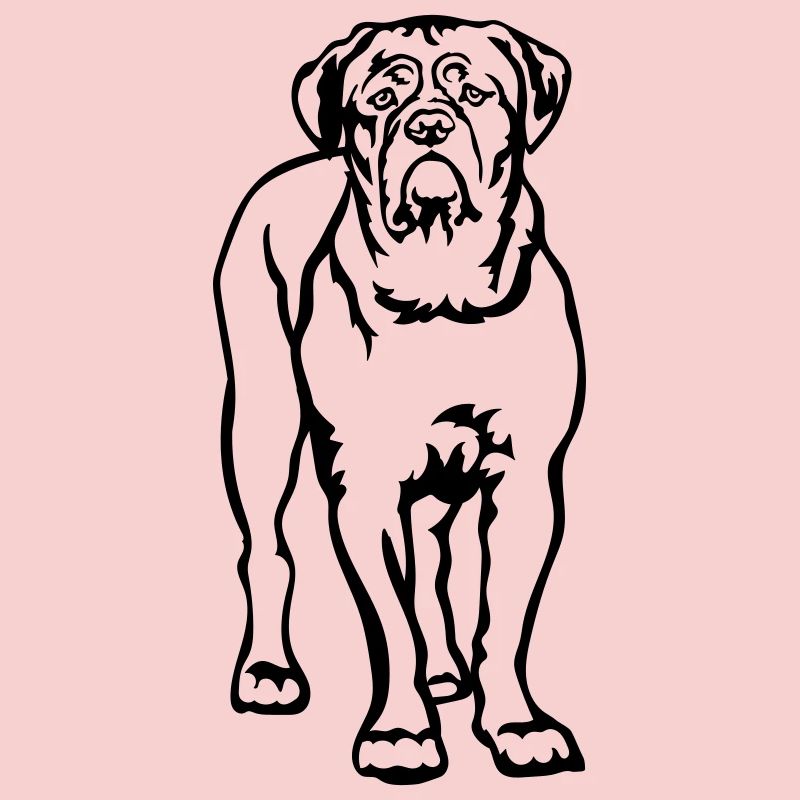 Dogue de Bordeaux